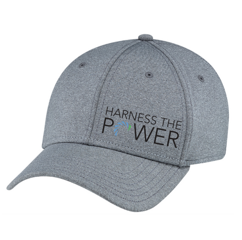 Fitted Hat (grey)